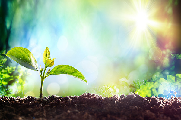 公司新闻动态标题—内容整理中.....................公司新闻动态标题—内容整理中.....................